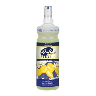 Dr. Schnell Dsodorisant Citrus 500ml